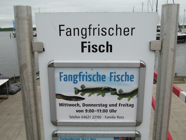2016: Fisch frisch aus der Schlei (Foto: Peter Reichelt)